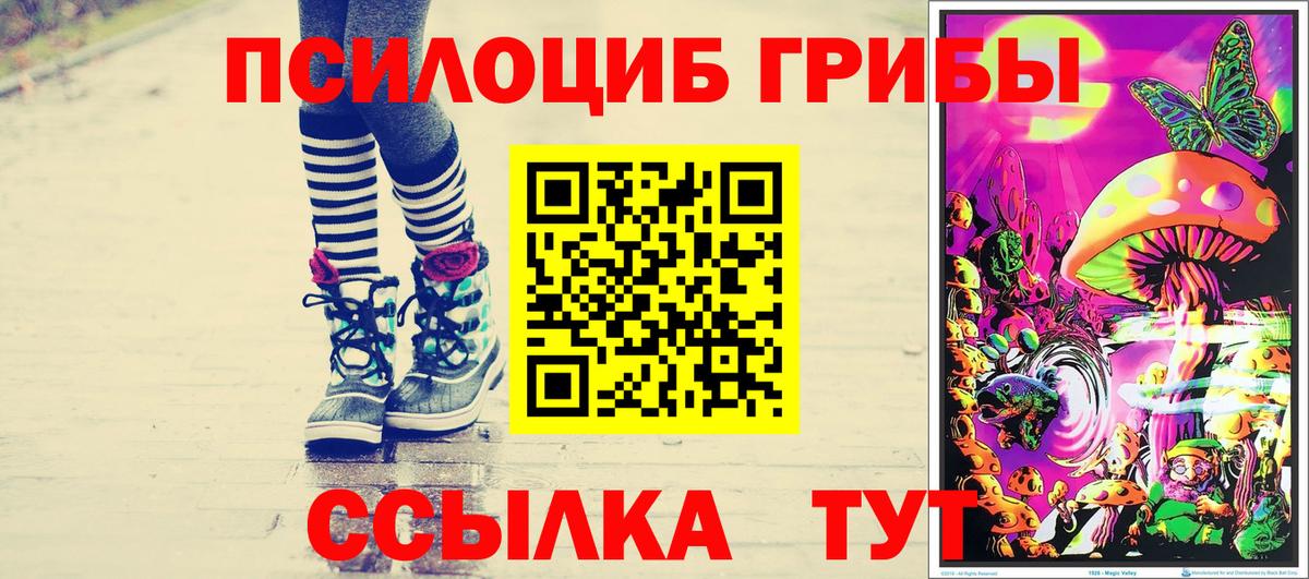 Галлюциногенные грибы GOLDEN TEACHER  Псилоцибиновые грибы Magic Shrooms  Бердск  наркота  Вход с VPN 